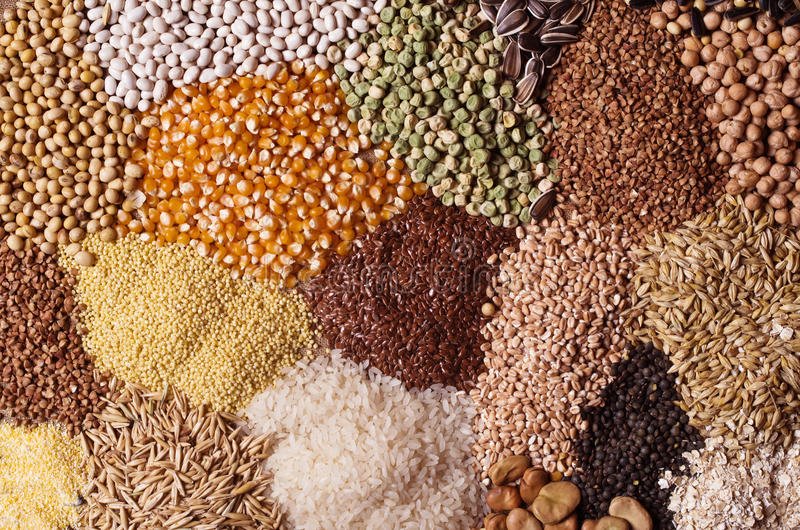 Les 3 types de grains de riz sur Gourmetpedia